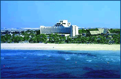 Jebel Ali Hotel and Gulf Resort